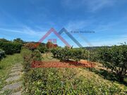 Moradia T2 - Monte C�rdova, Santo Tirso, Porto - Miniatura: 3/9