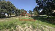 Terreno Rstico - Campo, Santo Tirso, Porto - Miniatura: 2/4