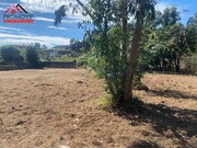 Terreno Rstico - Sanfins de Ferreira, Paos de Ferreira, Porto - Miniatura: 5/9