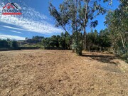 Terreno Rstico - Sanfins de Ferreira, Paos de Ferreira, Porto - Miniatura: 6/9