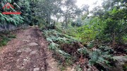 Terreno Rstico - Santo Tirso, Santo Tirso, Porto - Miniatura: 5/9