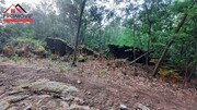 Terreno Rstico - Santo Tirso, Santo Tirso, Porto - Miniatura: 6/9