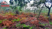 Terreno Rstico - Santo Tirso, Santo Tirso, Porto - Miniatura: 7/9