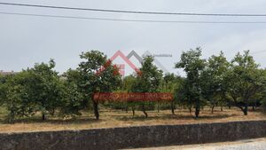 Terreno Rstico - Areias, Santo Tirso, Porto