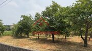 Terreno Rstico - Areias, Santo Tirso, Porto - Miniatura: 1/8
