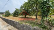 Terreno Rstico - Areias, Santo Tirso, Porto - Miniatura: 2/8