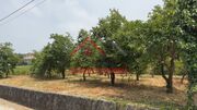 Terreno Rstico - Areias, Santo Tirso, Porto - Miniatura: 3/8