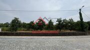 Terreno Rstico - Areias, Santo Tirso, Porto - Miniatura: 5/8