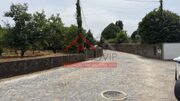 Terreno Rstico - Areias, Santo Tirso, Porto - Miniatura: 6/8