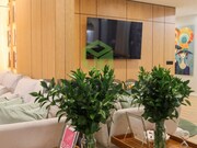 Apartamento T3 - Glria, Aveiro, Aveiro - Miniatura: 2/9