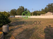 Terreno Rstico - Recardes, gueda, Aveiro - Miniatura: 1/9