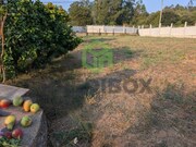 Terreno Rstico - Recardes, gueda, Aveiro - Miniatura: 2/9