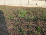 Terreno Rstico - Recardes, gueda, Aveiro - Miniatura: 3/9