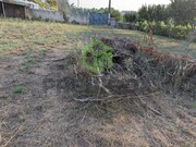 Terreno Rstico - Recardes, gueda, Aveiro - Miniatura: 7/9