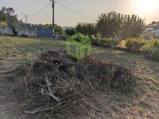 Terreno Rstico - Recardes, gueda, Aveiro - Miniatura: 8/9