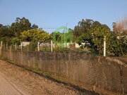 Terreno Rstico - Recardes, gueda, Aveiro - Miniatura: 9/9