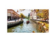 Apartamento T2 - Aradas, Aveiro, Aveiro - Miniatura: 9/9