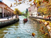 Terreno Urbano - Aradas, Aveiro, Aveiro - Miniatura: 3/8