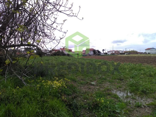Terreno Rústico - São Bernardo, Aveiro, Aveiro - Imagem grande