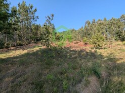 Terreno Rstico - Travass, gueda, Aveiro