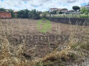 Terreno Rstico - Santa Joana, Aveiro, Aveiro - Miniatura: 7/9