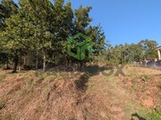 Terreno Rstico - Travass, gueda, Aveiro - Miniatura: 2/7