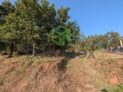 Terreno Rstico - Travass, gueda, Aveiro - Miniatura: 3/7
