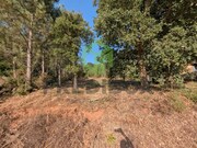 Terreno Rstico - Travass, gueda, Aveiro - Miniatura: 4/7