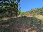 Terreno Rstico - Travass, gueda, Aveiro - Miniatura: 7/7