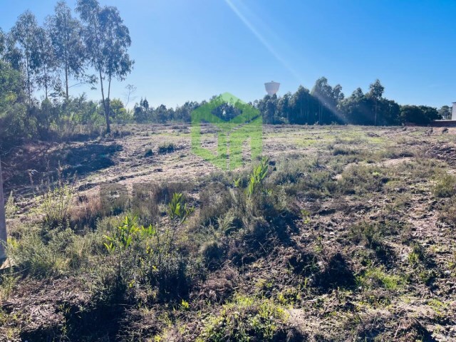 Terreno Rstico - Vagos, Vagos, Aveiro - Imagem grande