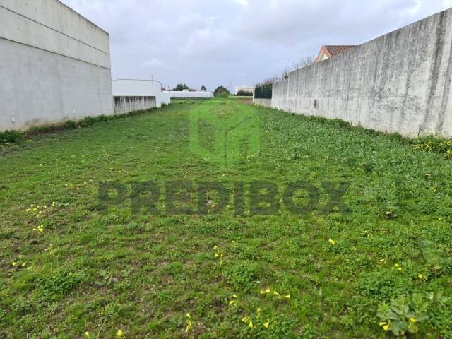 Terreno Rústico - Glória, Aveiro, Aveiro - Imagem grande