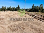 Terreno Rstico - Vagos, Vagos, Aveiro - Miniatura: 3/9