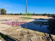 Terreno Rstico - Vagos, Vagos, Aveiro - Miniatura: 4/9