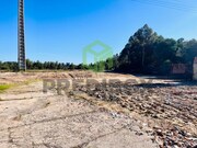 Terreno Rstico - Vagos, Vagos, Aveiro - Miniatura: 5/9