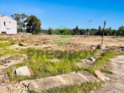 Terreno Rstico - Vagos, Vagos, Aveiro - Miniatura: 7/9