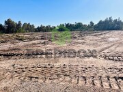 Terreno Rstico - Vagos, Vagos, Aveiro - Miniatura: 9/9