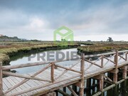 Apartamento T1 - Esgueira, Aveiro, Aveiro - Miniatura: 8/8