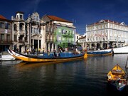 Terreno Rstico - Glria, Aveiro, Aveiro - Miniatura: 9/9