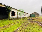 Armazm - Bustos, Oliveira do Bairro, Aveiro - Miniatura: 9/9