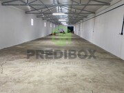Armazm - Bustos, Oliveira do Bairro, Aveiro - Miniatura: 9/9