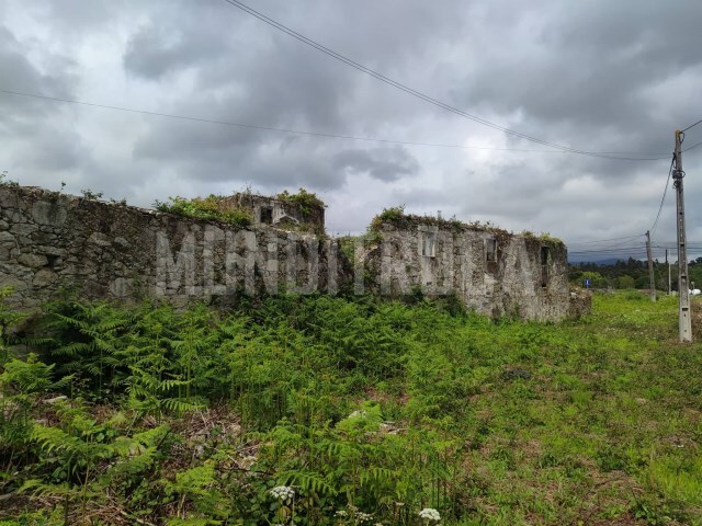 Terreno Rústico - Fragoso, Barcelos, Braga - Imagem grande