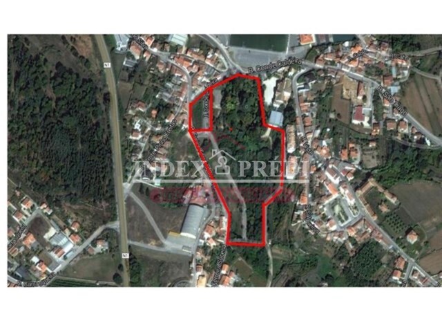 Terreno Rústico - Águeda, Águeda, Aveiro - Imagem grande