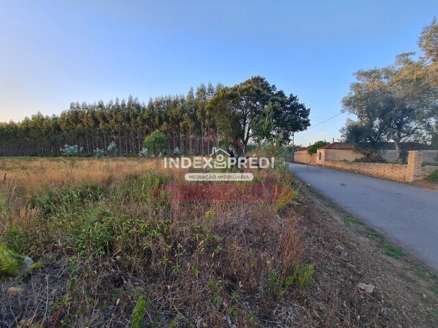 Terreno R�stico T0 - �gueda, �gueda, Aveiro - Imagem grande