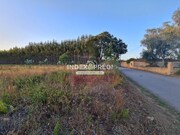 Terreno R�stico T0 - �gueda, �gueda, Aveiro