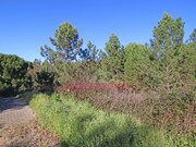 Terreno Urbano - Abrantes, Abrantes, Santarm - Miniatura: 6/9