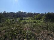 Quinta T0 - �gueda, �gueda, Aveiro - Miniatura: 1/6