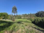 Quinta T0 - �gueda, �gueda, Aveiro - Miniatura: 4/6