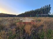 Terreno R�stico T0 - �gueda, �gueda, Aveiro - Miniatura: 2/9