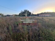 Terreno R�stico T0 - �gueda, �gueda, Aveiro - Miniatura: 3/9