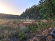 Terreno R�stico T0 - �gueda, �gueda, Aveiro - Miniatura: 6/9